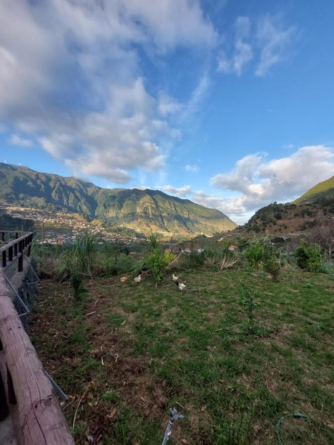 Lameiros Cottage São Vicente エクステリア 写真